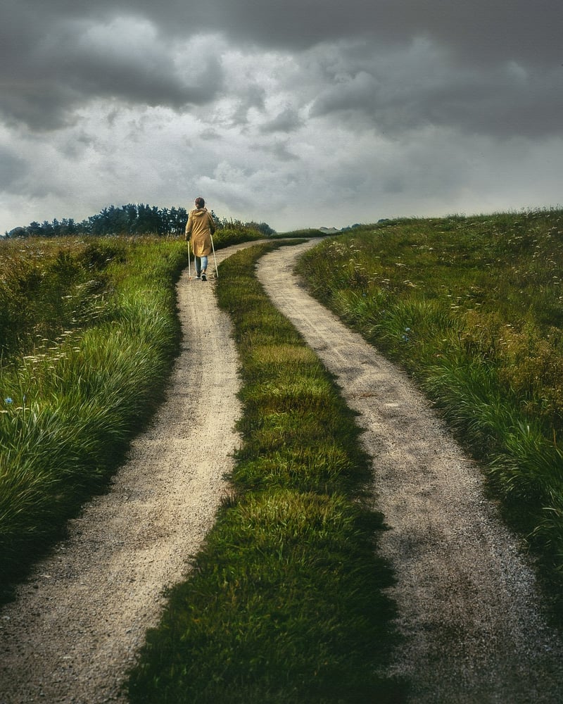 Thrilling Journeys